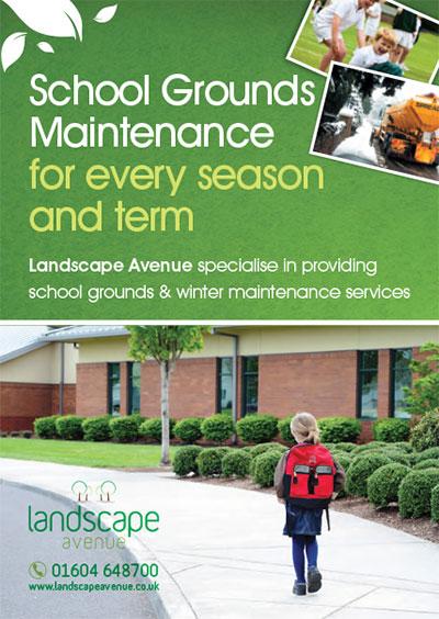 School grounds maintenance for every season and term